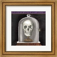 Framed 'Apothecary Noir III' border=