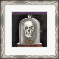 Framed 'Apothecary Noir III' border=