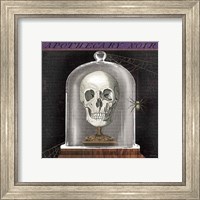 Framed 'Apothecary Noir III' border=