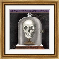 Framed 'Apothecary Noir III' border=