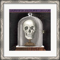 Framed 'Apothecary Noir III' border=