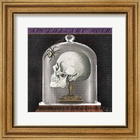 Framed 'Apothecary Noir II' border=