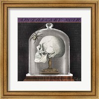 Framed 'Apothecary Noir II' border=