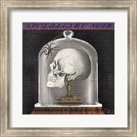 Framed 'Apothecary Noir II' border=