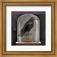 Framed 'Apothecary Noir I' border=