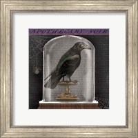 Framed 'Apothecary Noir I' border=