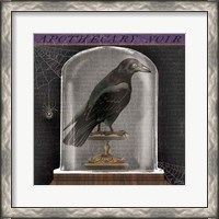 Framed 'Apothecary Noir I' border=