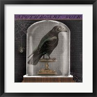 Apothecary Noir I Framed Print