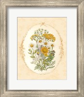 Framed 'Gentle Soul Bouquet I' border=