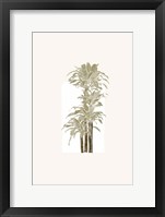 Tropical Window 5 Framed Print