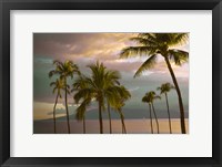 Framed Hawaii Palm Sunset No. 1