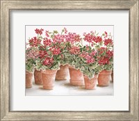 Framed 'Potted Geranium Mix I' border=