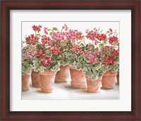 Framed 'Potted Geranium Mix I' border=