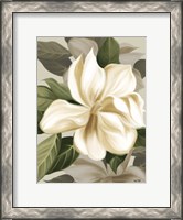 Framed Magnolia Blossoms II