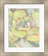 Framed 'Succulent Bloom 2' border=