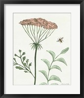 Springtime III Warm Framed Print