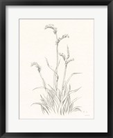 Framed Farm Nostalgia Flowers V Dark Gray