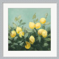 Framed Lemon Grove I