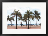 Framed Florida Palms