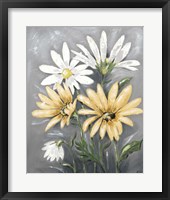 Summer Daisies II Framed Print