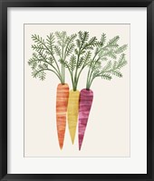 Framed Organic Veg III