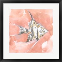 Blush and Ochre Angel Fish I Framed Print