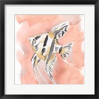 Blush and Ochre Angel Fish II Framed Print