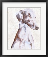 Sitting Dog II Framed Print