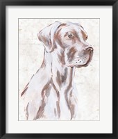 Sitting Dog IV Framed Print