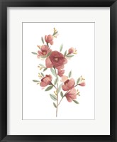 Wildflower Sprig IV Framed Print