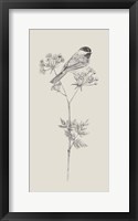 Nature with Bird III Framed Print