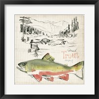 Framed Trout Journal II