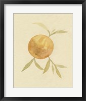 Dappled Oranges II Framed Print