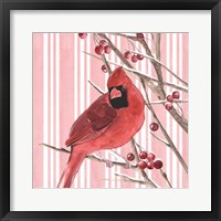 Winter Cardinal I Framed Print