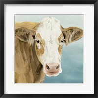 Hereford Stare I Framed Print