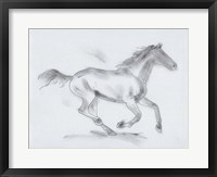 Smoke Stallion I Framed Print