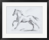 Smoke Stallion II Framed Print