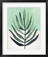 Verging Palm III Framed Print