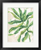 Parchment Palms II Framed Print