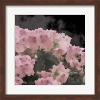 Framed Blush Rush II