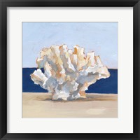 Coral By the Shore II Framed Print