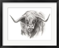 Soft Focus Highland Cattle II Framed Print