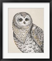 Framed Beautiful Owls IV Vintage