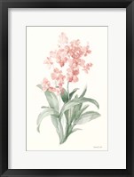 Framed Spring Orchid I