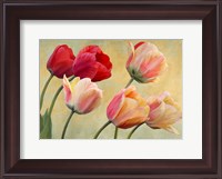 Framed Golden Tulips (detail)