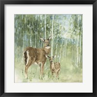 Nature's Call II Framed Print