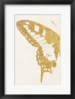 Butterfly Wings I Framed Print