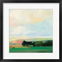 Summer Sky V Framed Print