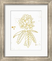 Framed 'Gold Blooms II' border=