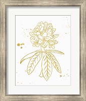 Framed 'Gold Blooms II' border=